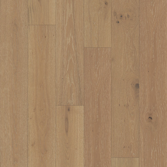 Monarch Woods Courtly Cream Engineered Hardwood Flooring, Fuzion square flooring swatch
