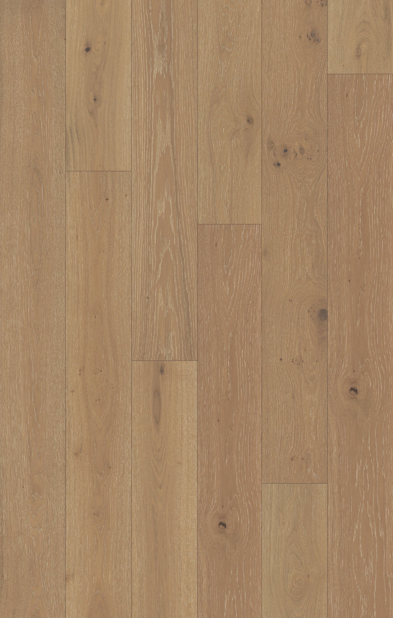 Monarch Woods Courtly Cream Engineered Hardwood Flooring, Fuzion swatch
