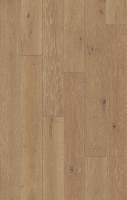 Monarch Woods Courtly Cream Engineered Hardwood Flooring, Fuzion swatch