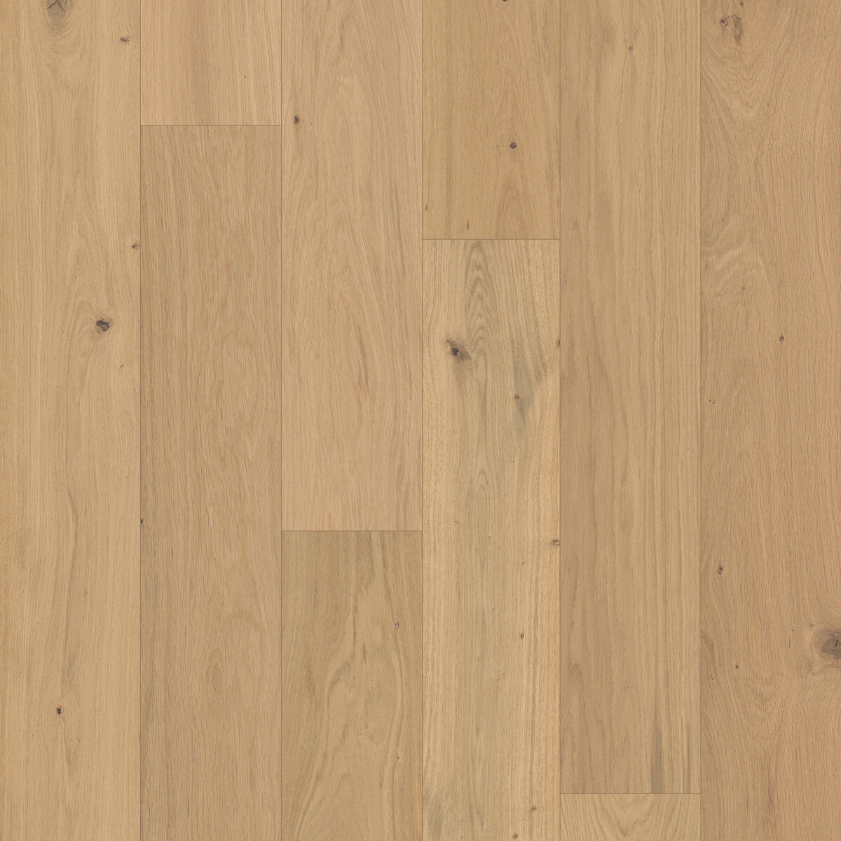 Monarch Woods Regent Rustic Engineered Hardwood Flooring, Fuzion square flooring swatch
