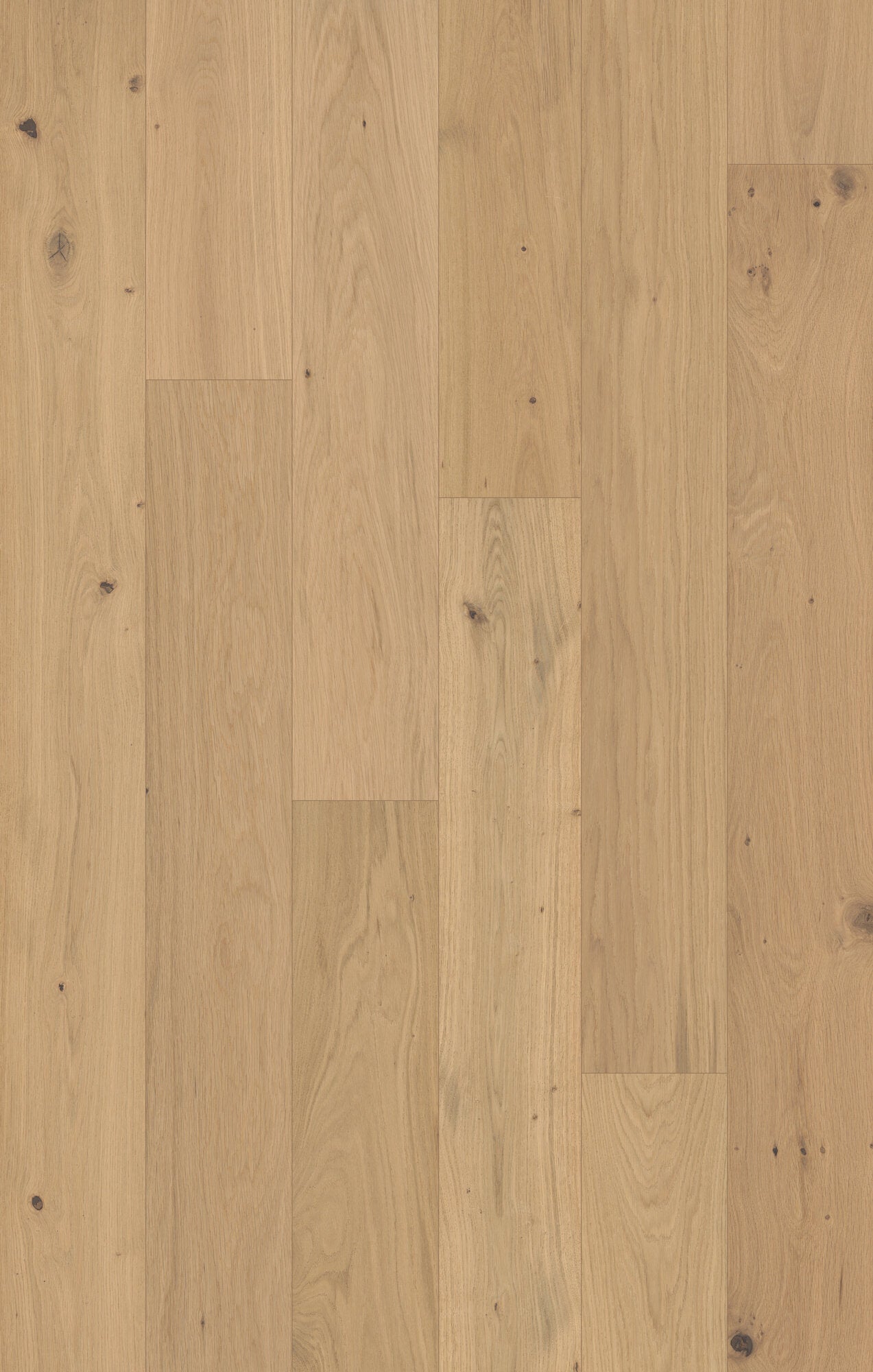 Monarch Woods Regent Rustic Engineered Hardwood Flooring, Fuzion swatch