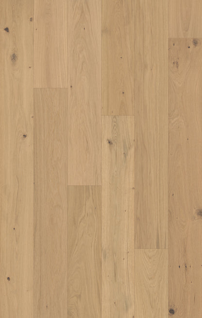 Monarch Woods Regent Rustic Engineered Hardwood Flooring, Fuzion swatch