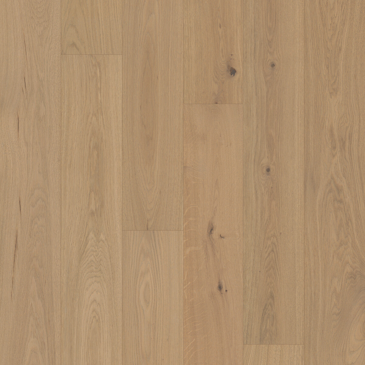 Monarch Woods Royal Rye Engineered Hardwood Flooring, Fuzion square flooring swatch