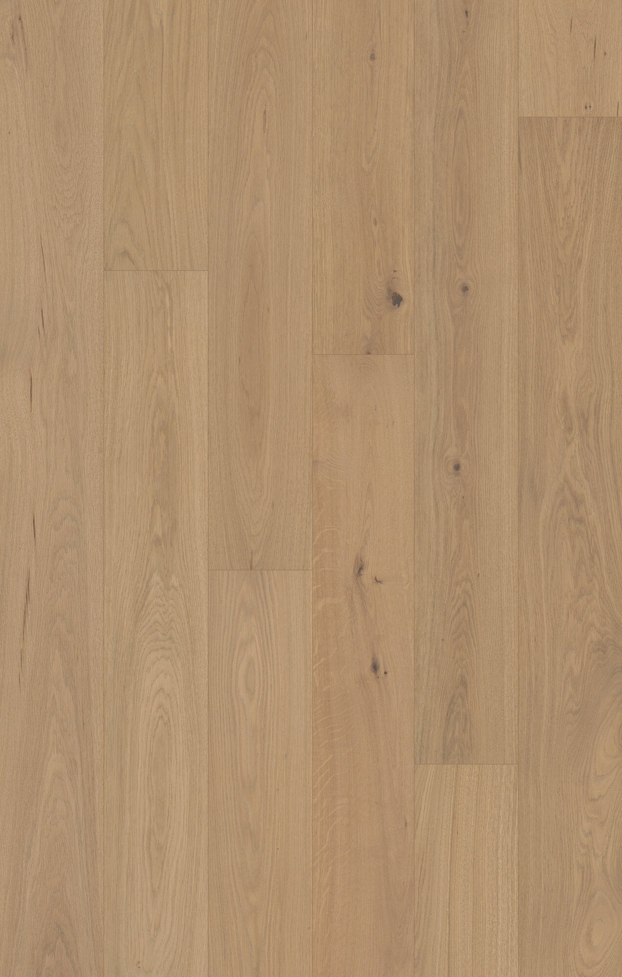 Monarch Woods Royal Rye Engineered Hardwood Flooring, Fuzion swatch