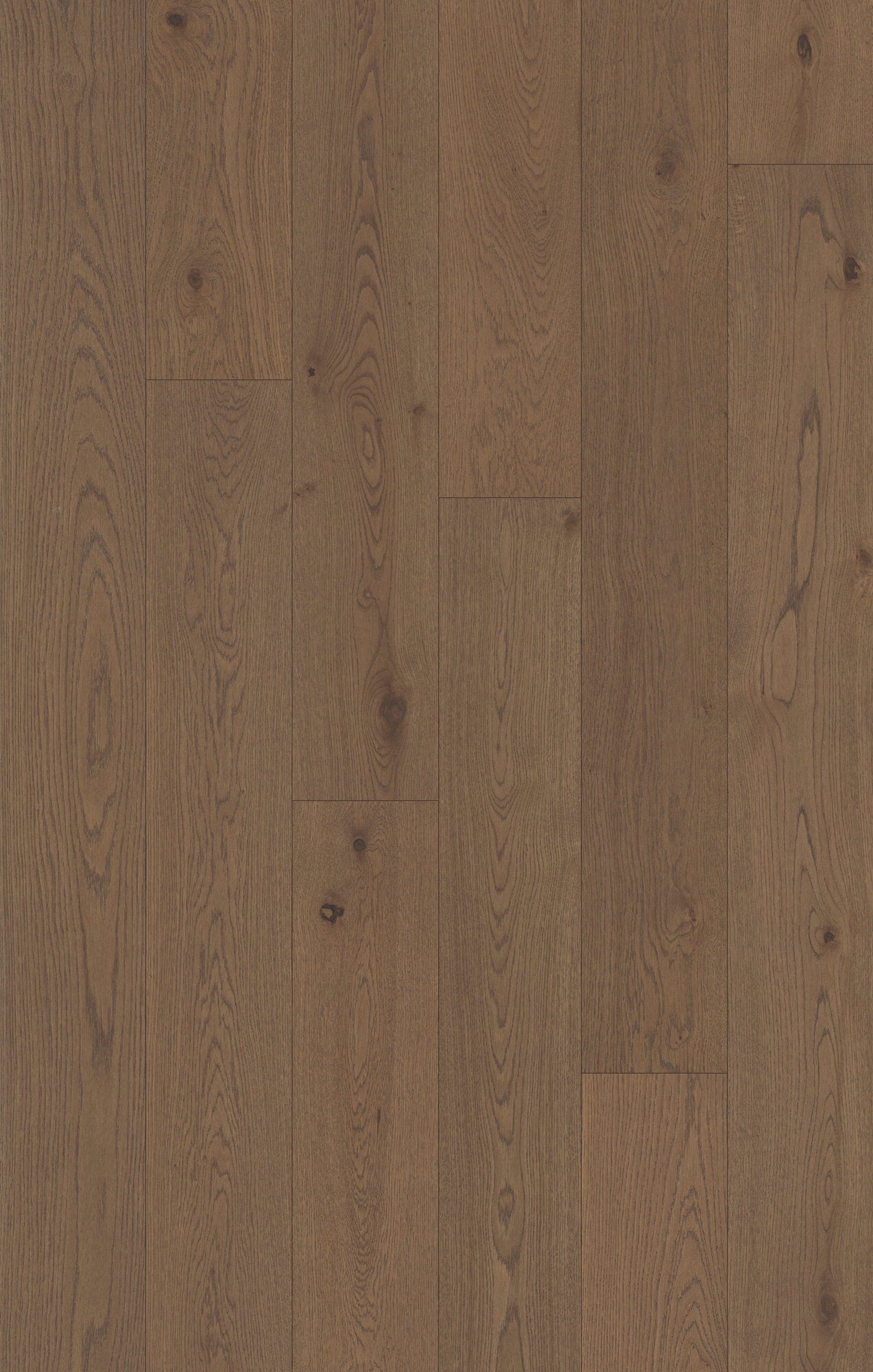 Monarch Woods Sovereign Sable Engineered Hardwood Flooring, Fuzion swatch