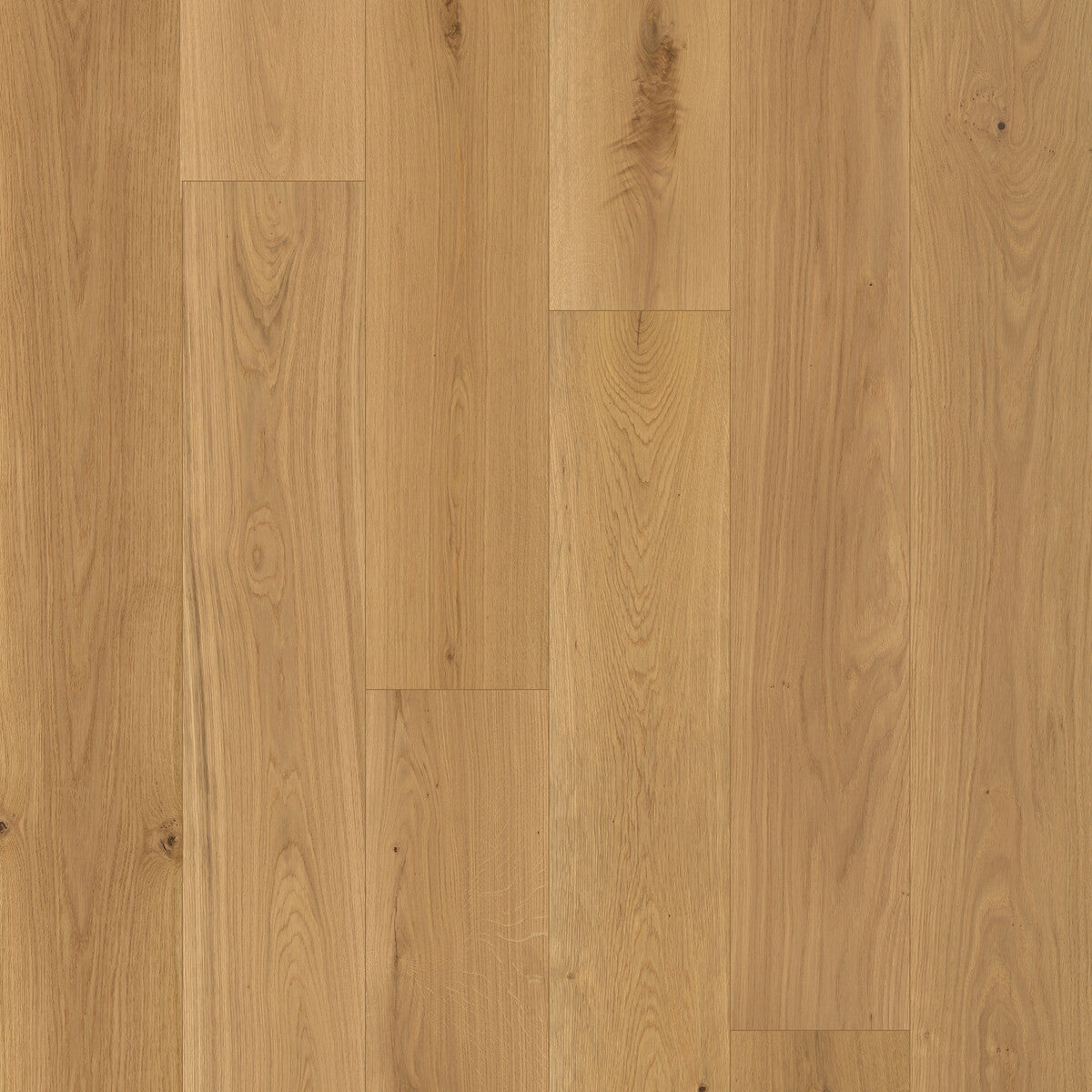 Nouveau Renaissance Boticelli Engineered Hardwood Flooring, Fuzion square flooring swatch