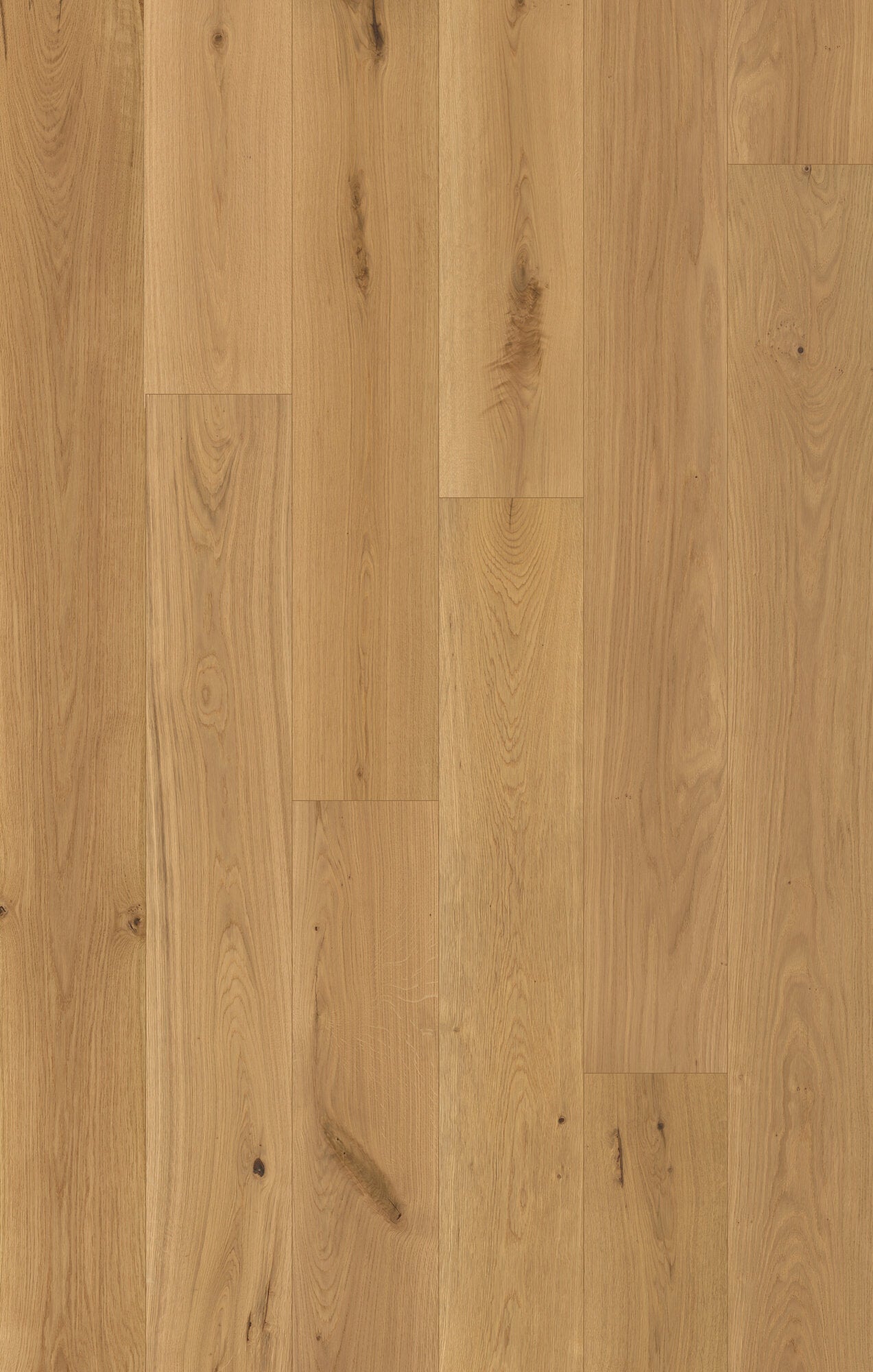 Nouveau Renaissance Boticelli Engineered Hardwood Flooring, Fuzion swatch