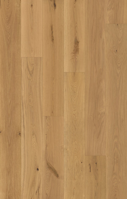 Nouveau Renaissance Boticelli Engineered Hardwood Flooring, Fuzion swatch