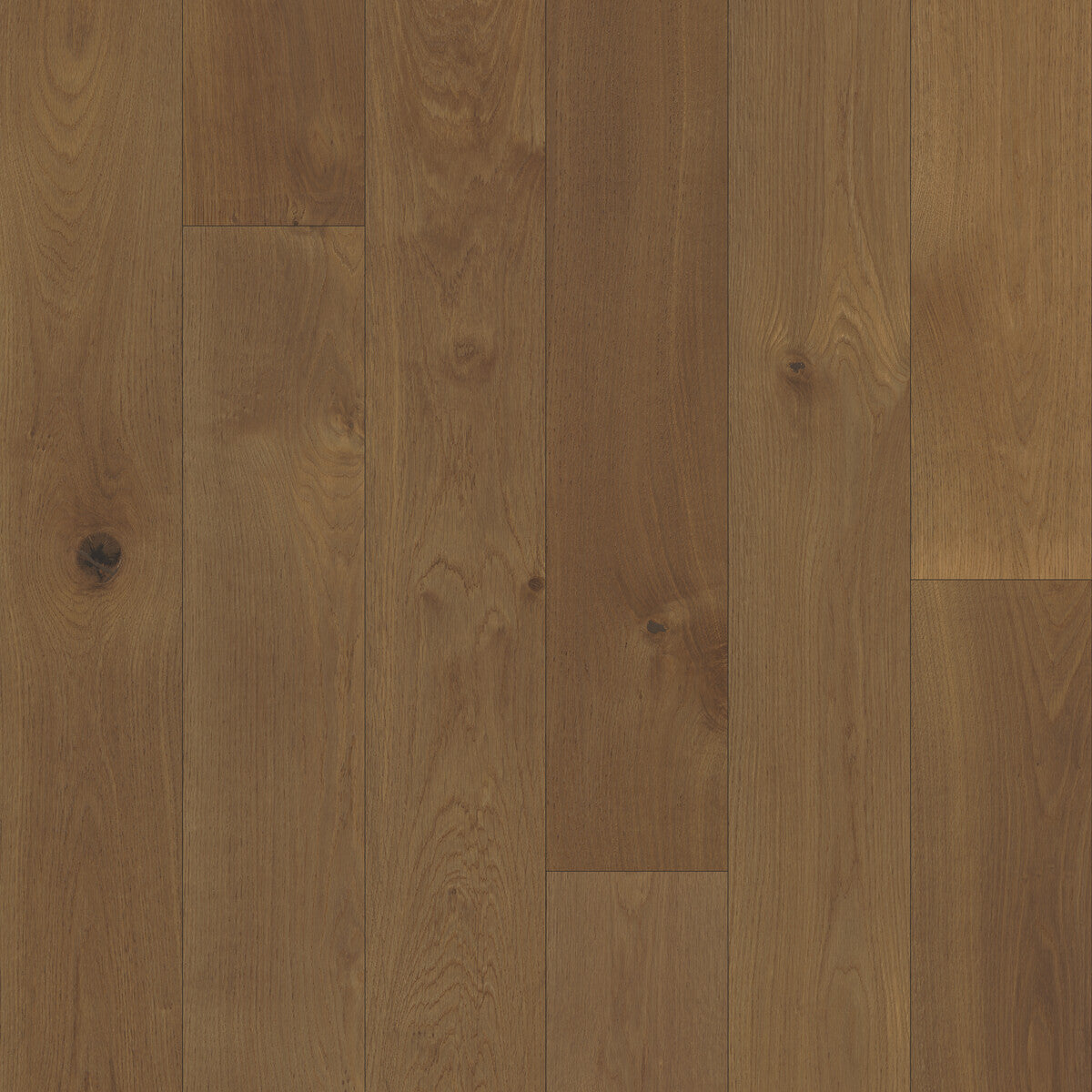Nouveau Renaissance Cathedral Engineered Hardwood Flooring, Fuzion square flooring swatch
