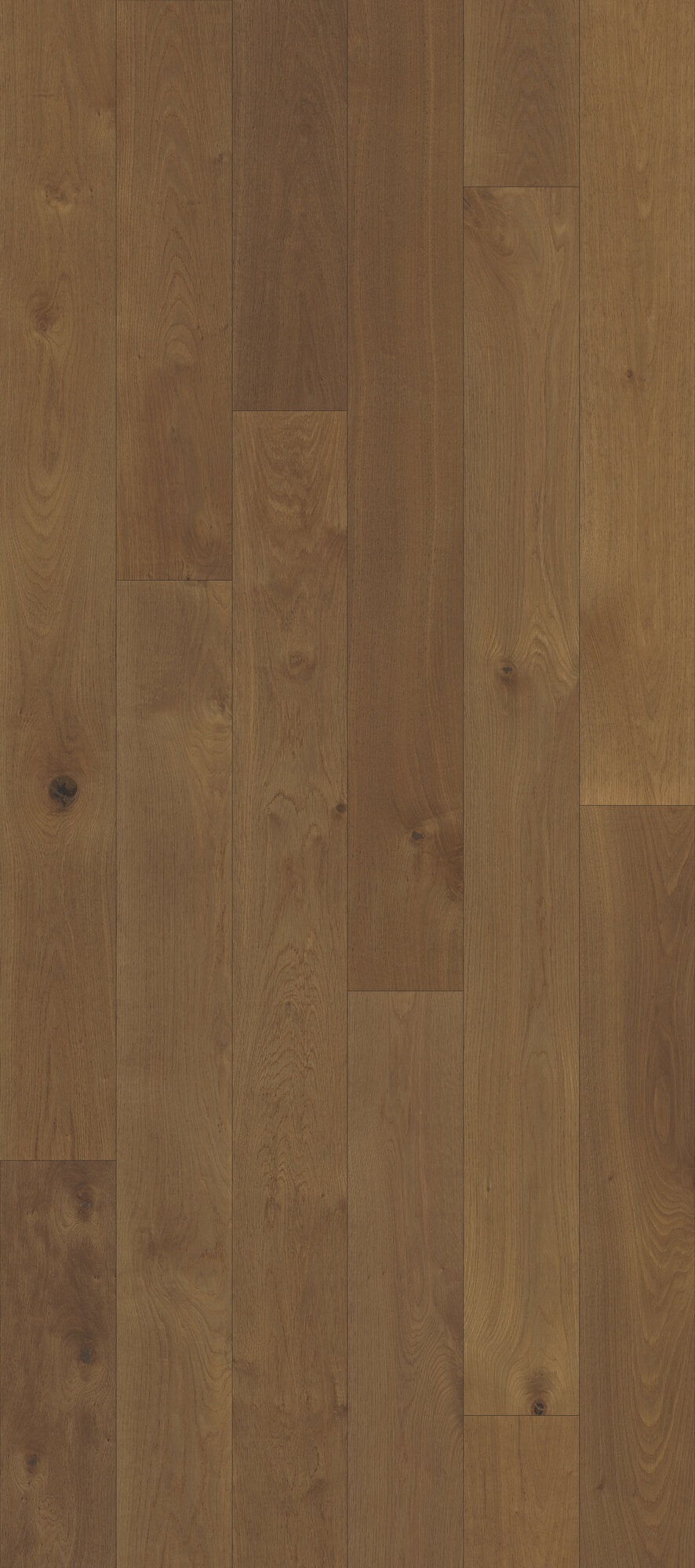 Nouveau Renaissance Cathedral Engineered Hardwood Flooring, Fuzion swatch