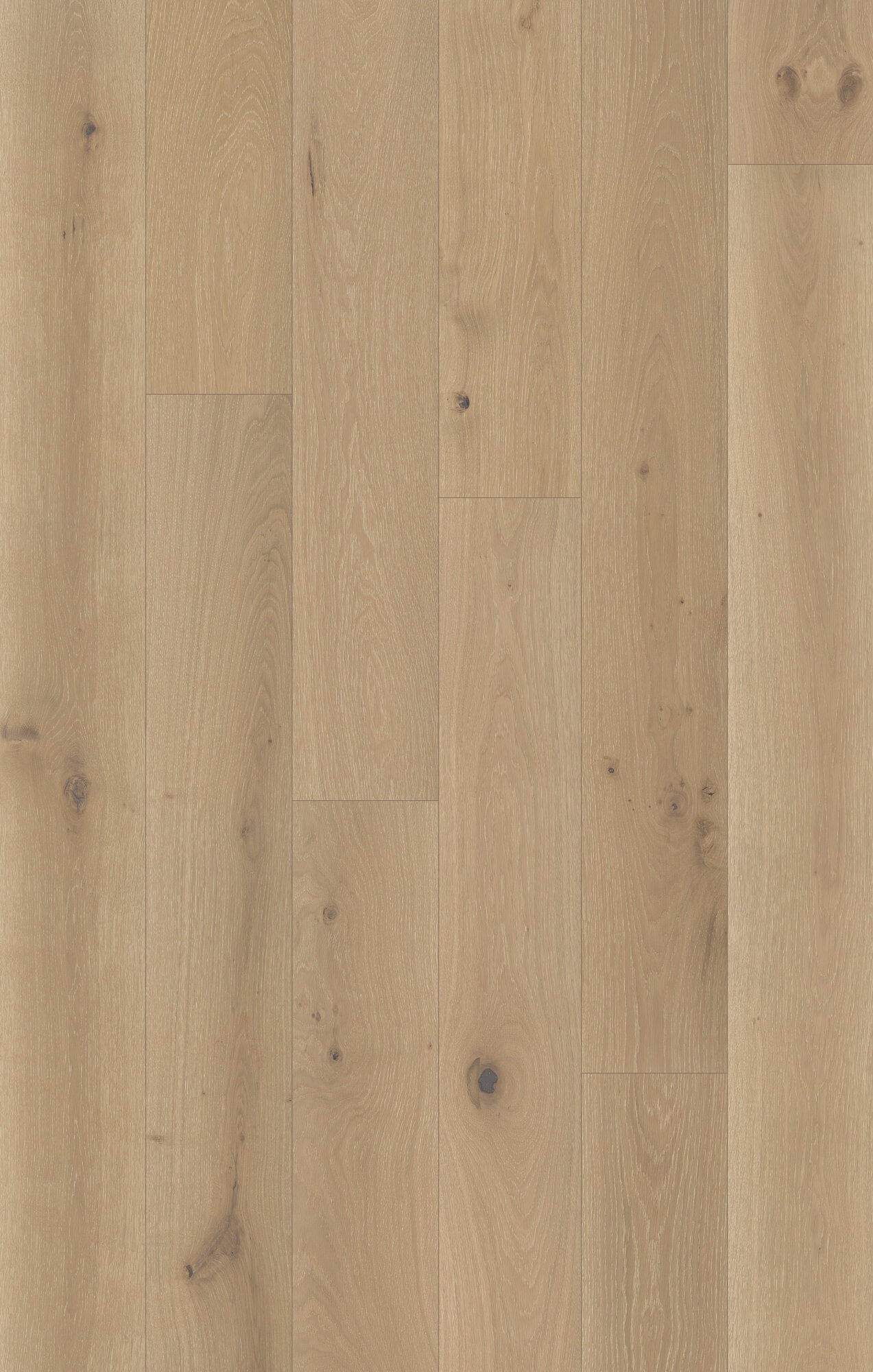 Nouveau Renaissance Cobblestone Engineered Hardwood Flooring, Fuzion swatch
