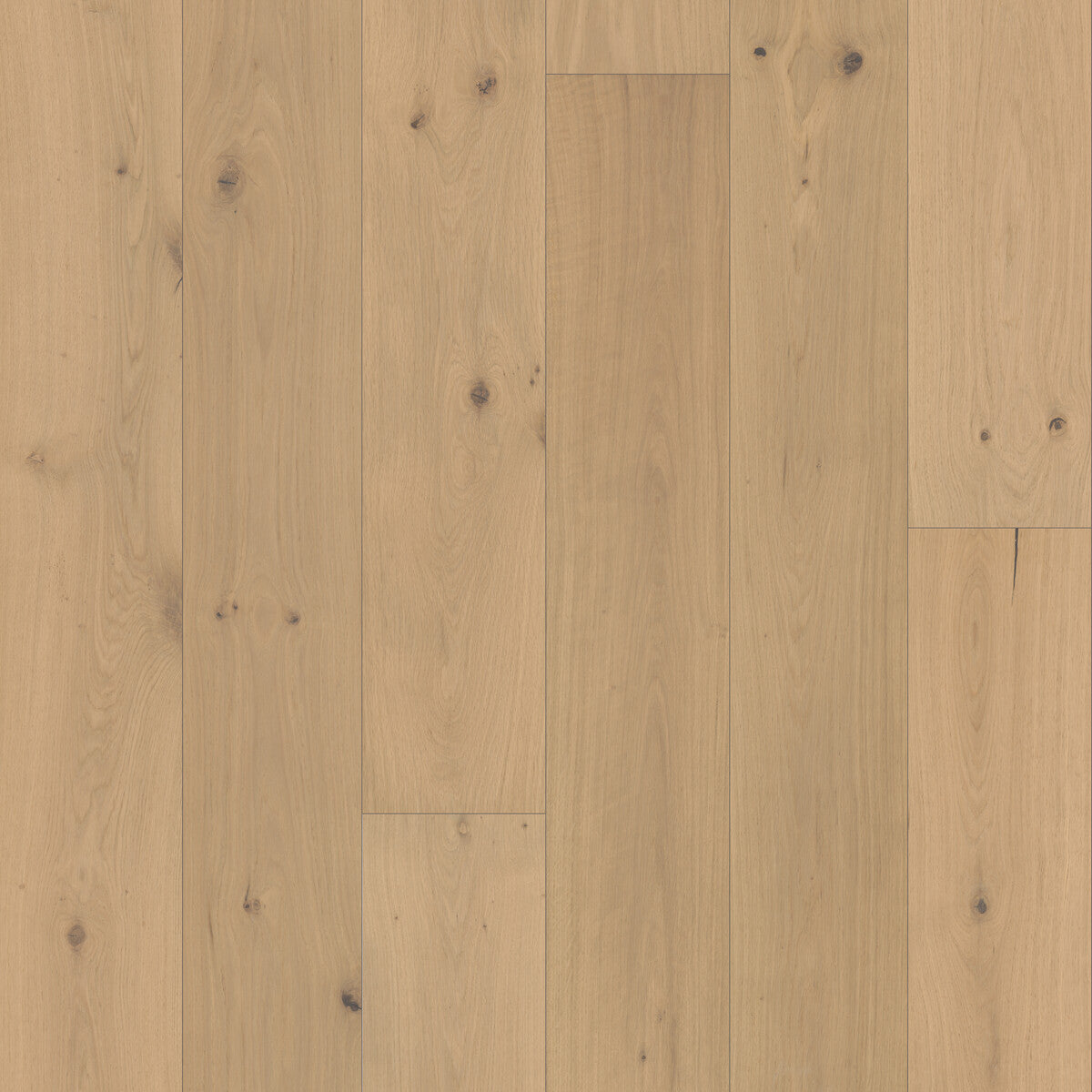 Nouveau Renaissance Colonnade Engineered Hardwood Flooring, Fuzion square flooring swatch