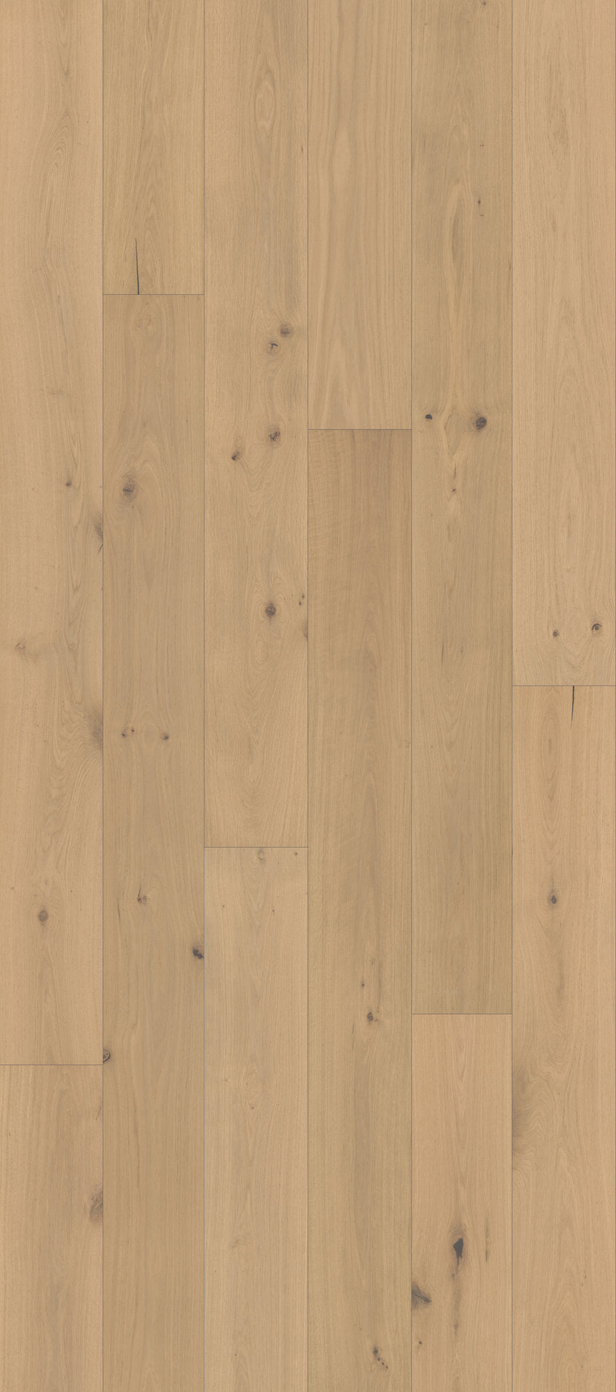 Nouveau Renaissance Colonnade Engineered Hardwood Flooring, Fuzion swatch