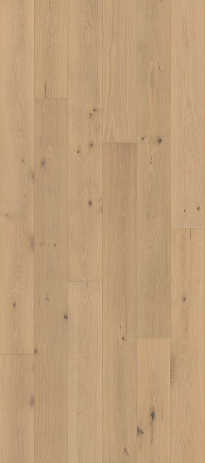 Nouveau Renaissance Colonnade Engineered Hardwood Flooring, Fuzion swatch