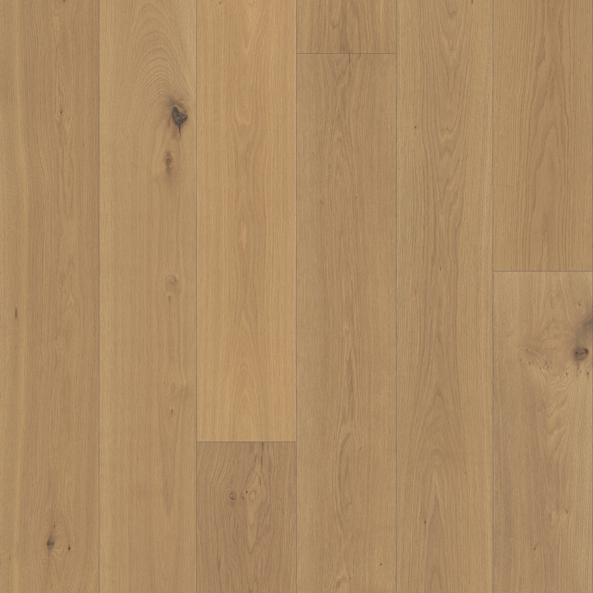 Nouveau Renaissance Ducale Engineered Hardwood Flooring, Fuzion square flooring swatch