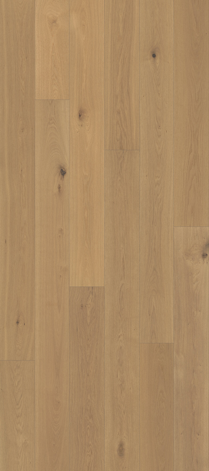 Nouveau Renaissance Ducale Engineered Hardwood Flooring, Fuzion swatch