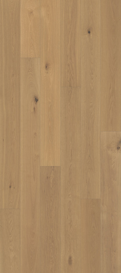 Nouveau Renaissance Ducale Engineered Hardwood Flooring, Fuzion swatch