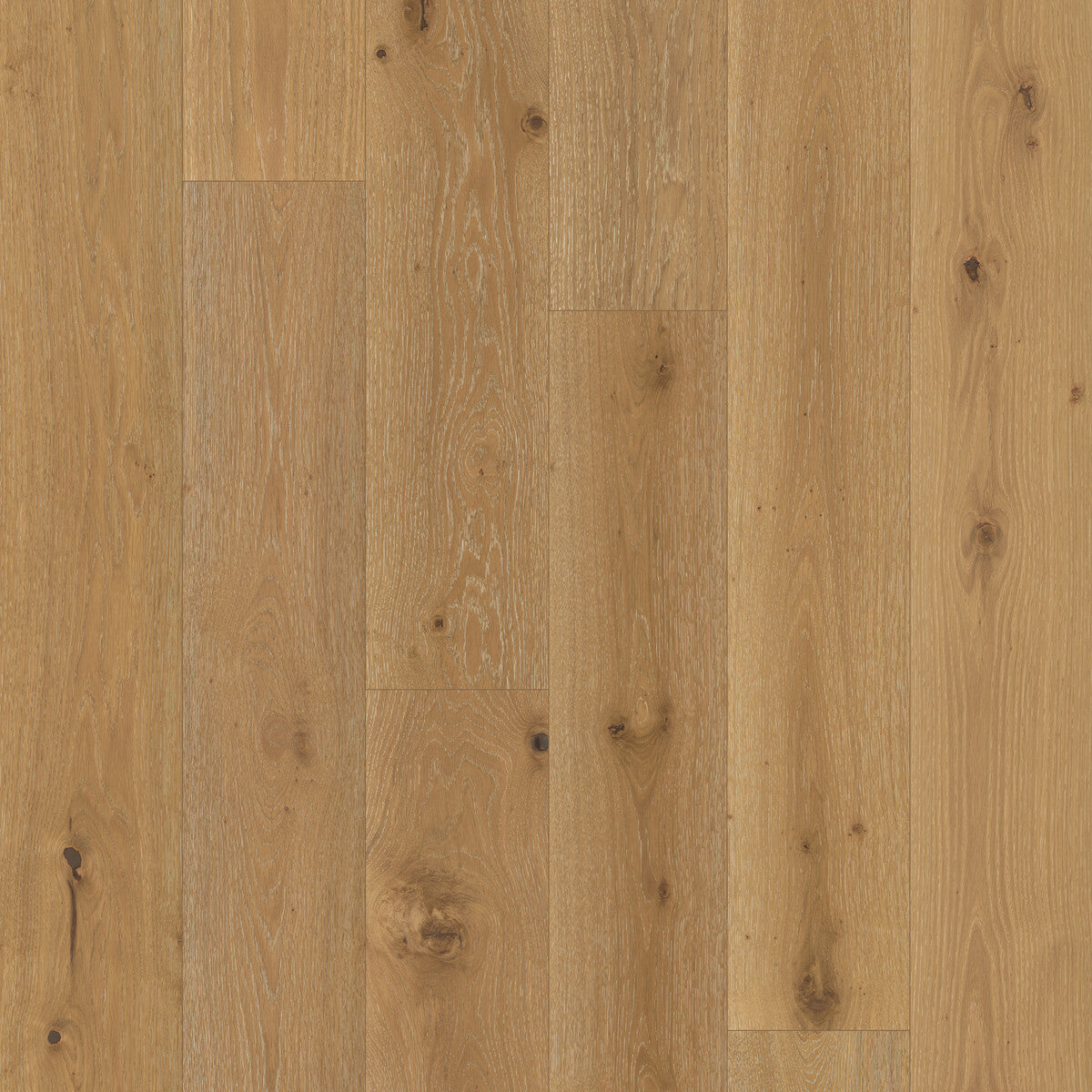 Nouveau Renaissance Gallery Louvre Engineered Hardwood Flooring, Fuzion square flooring swatch