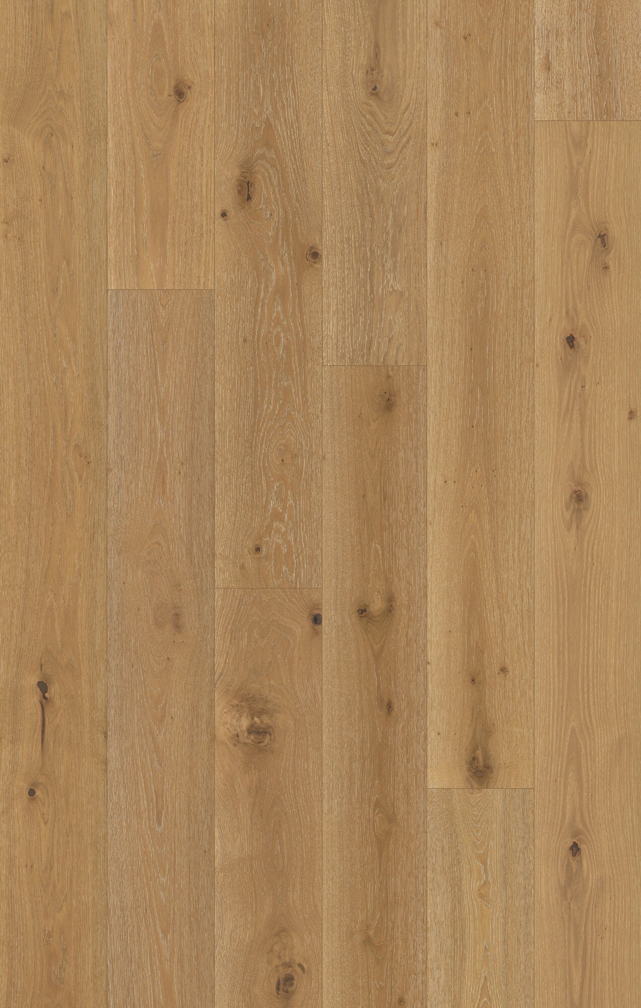 Nouveau Renaissance Gallery Louvre Engineered Hardwood Flooring, Fuzion swatch