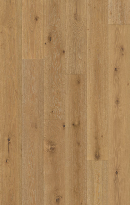 Nouveau Renaissance Gallery Louvre Engineered Hardwood Flooring, Fuzion swatch