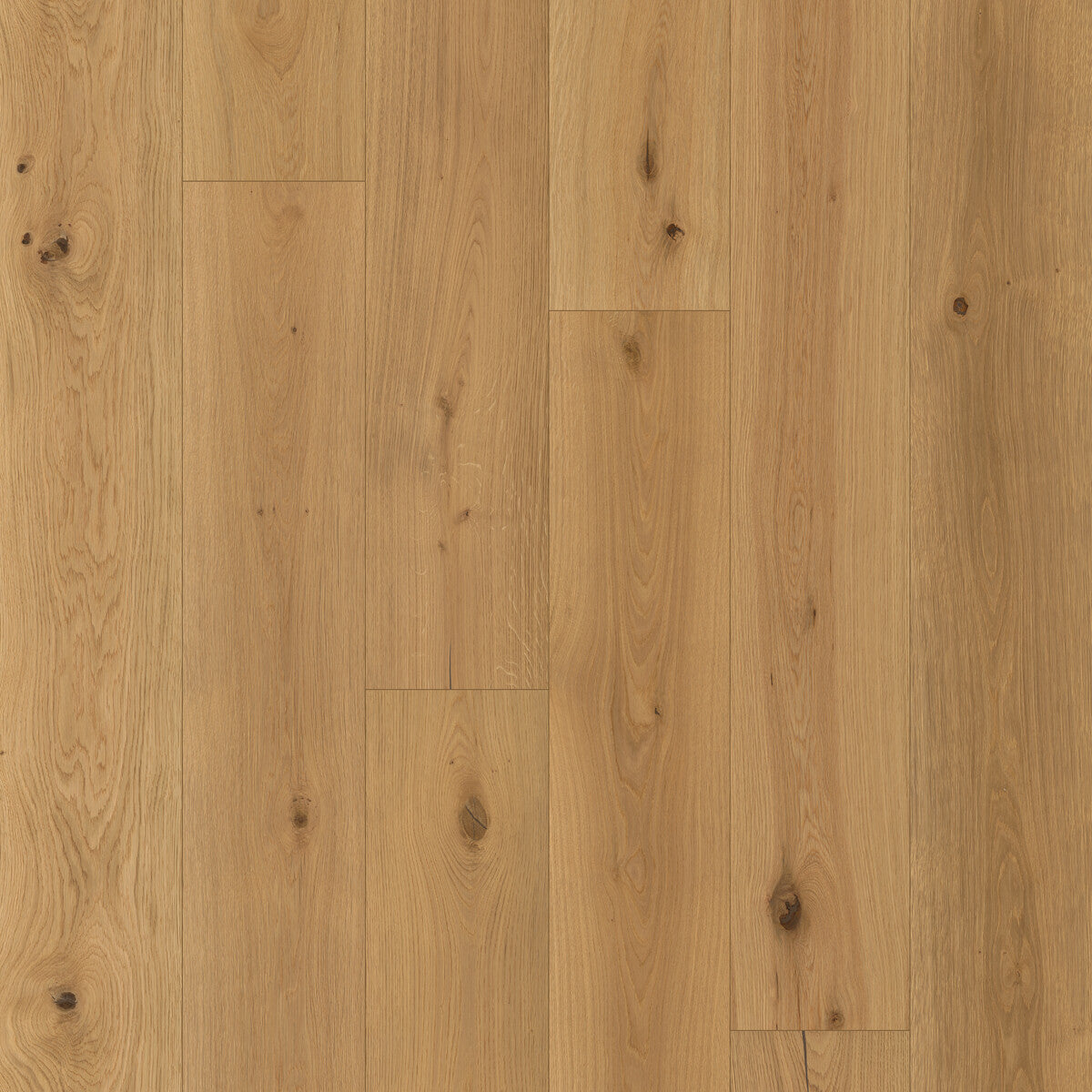 Nouveau Renaissance Gutenberg Engineered Hardwood Flooring, Fuzion square flooring swatch