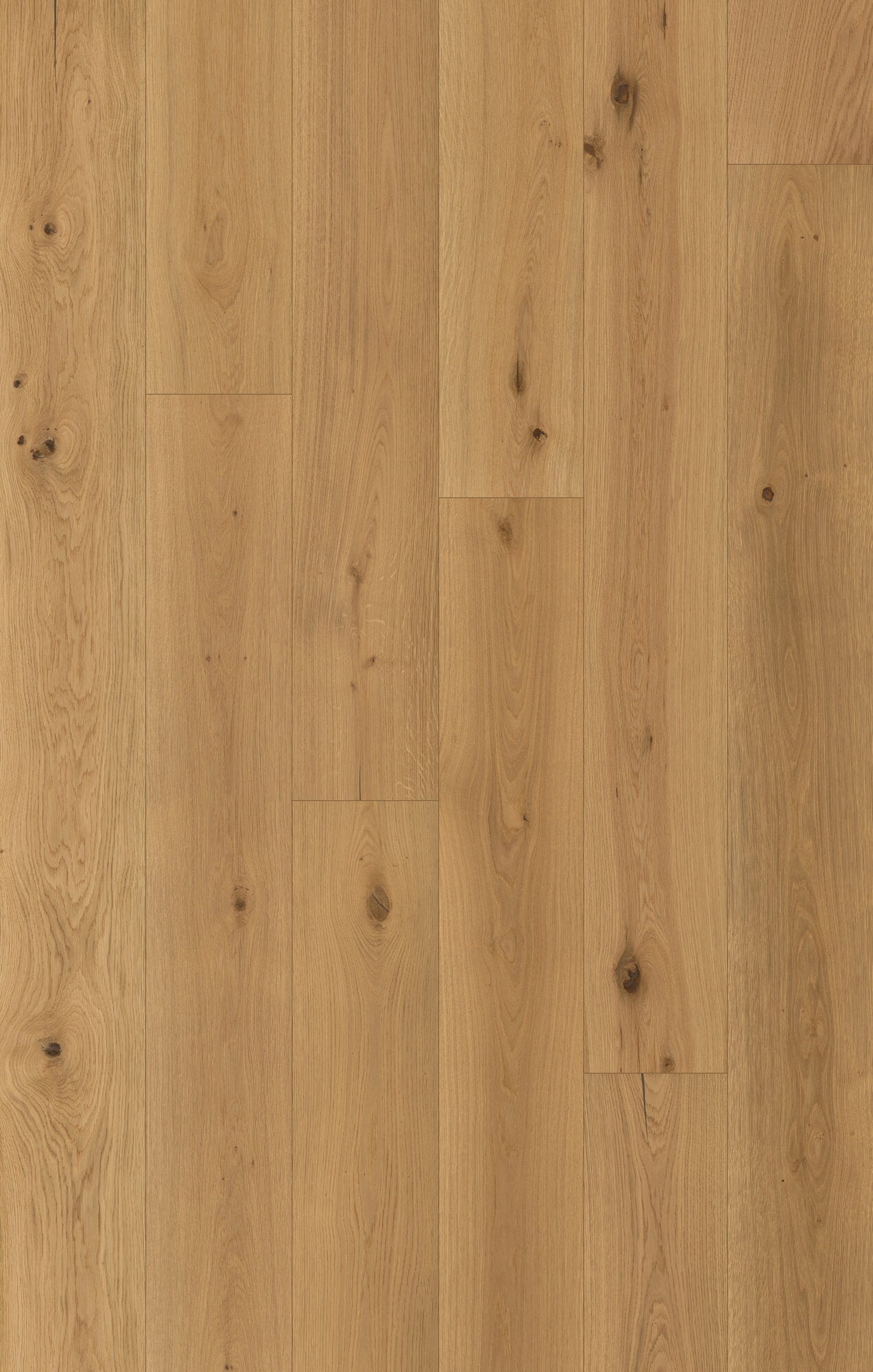 Nouveau Renaissance Gutenberg Engineered Hardwood Flooring, Fuzion swatch