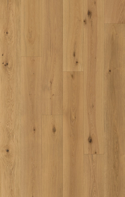 Nouveau Renaissance Gutenberg Engineered Hardwood Flooring, Fuzion swatch