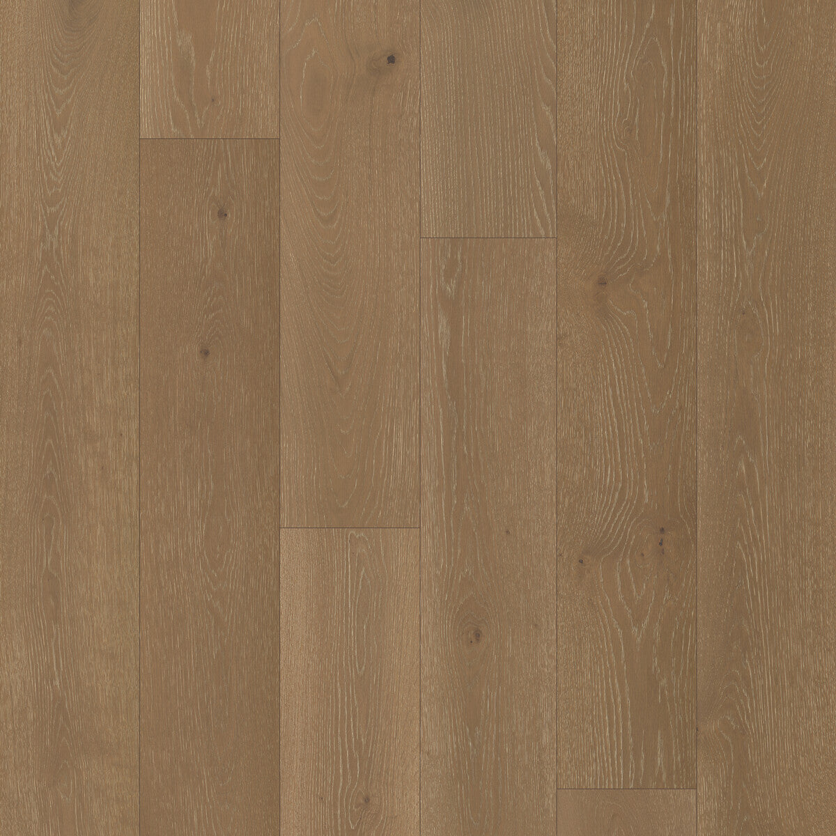 Nouveau Renaissance Mourning Dove Engineered Hardwood Flooring, Fuzion square flooring swatch