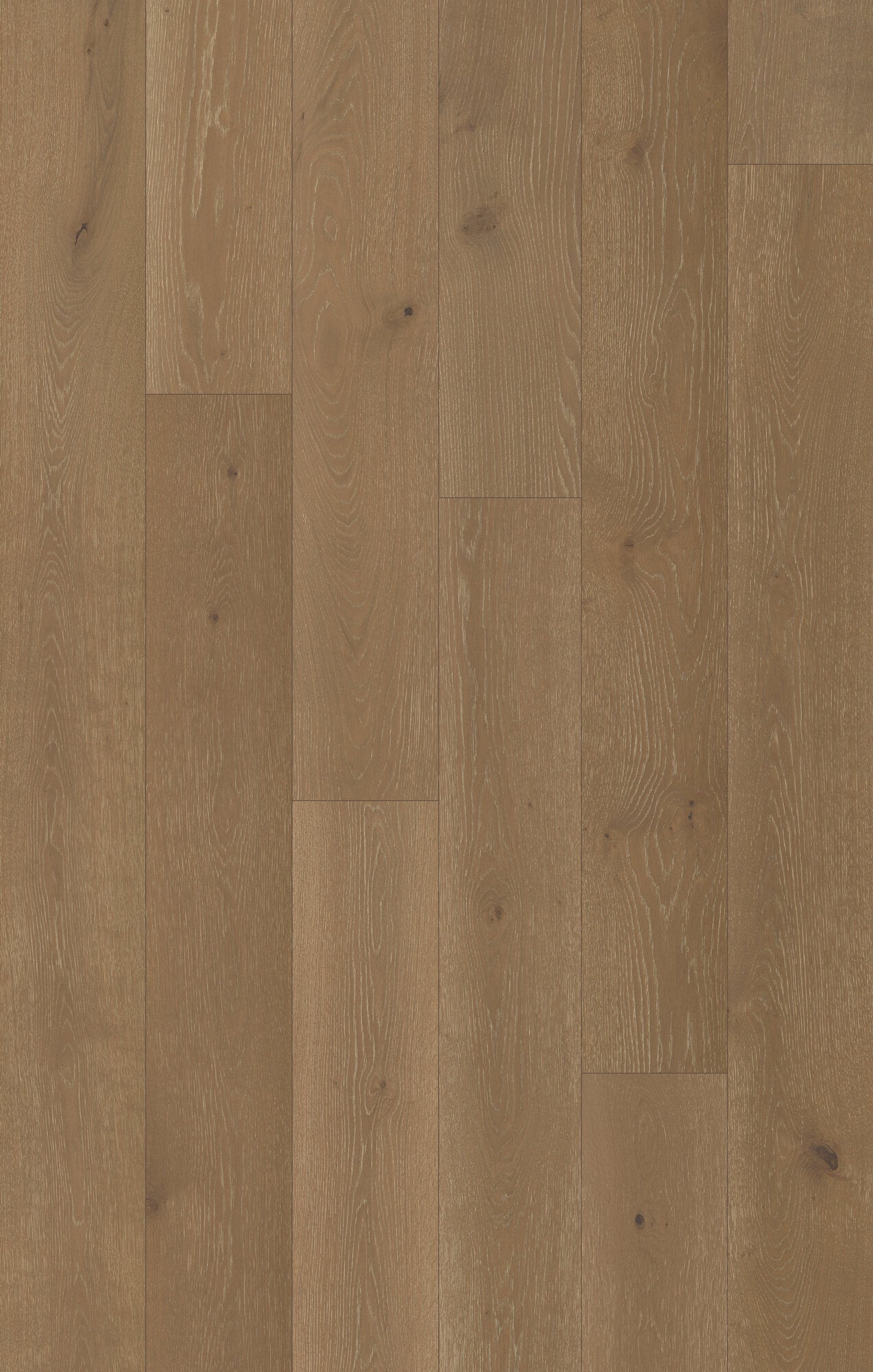 Nouveau Renaissance Mourning Dove Engineered Hardwood Flooring, Fuzion swatch