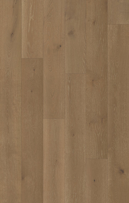 Nouveau Renaissance Mourning Dove Engineered Hardwood Flooring, Fuzion swatch