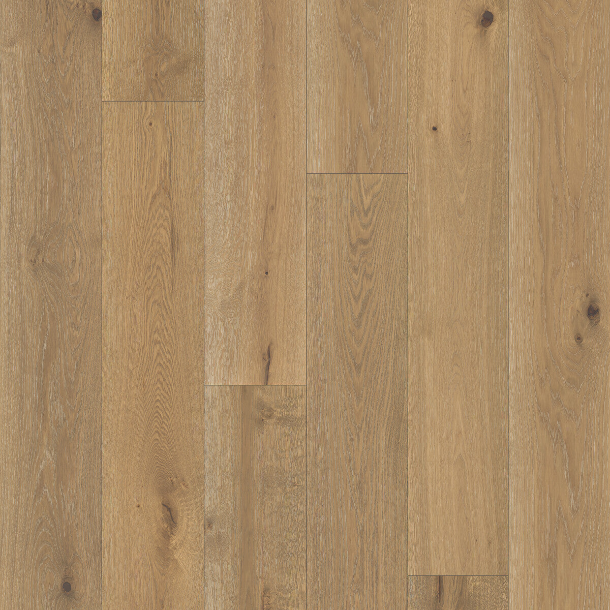 Nouveau Renaissance Modern Demask Engineered Hardwood Flooring, Fuzion square flooring swatch