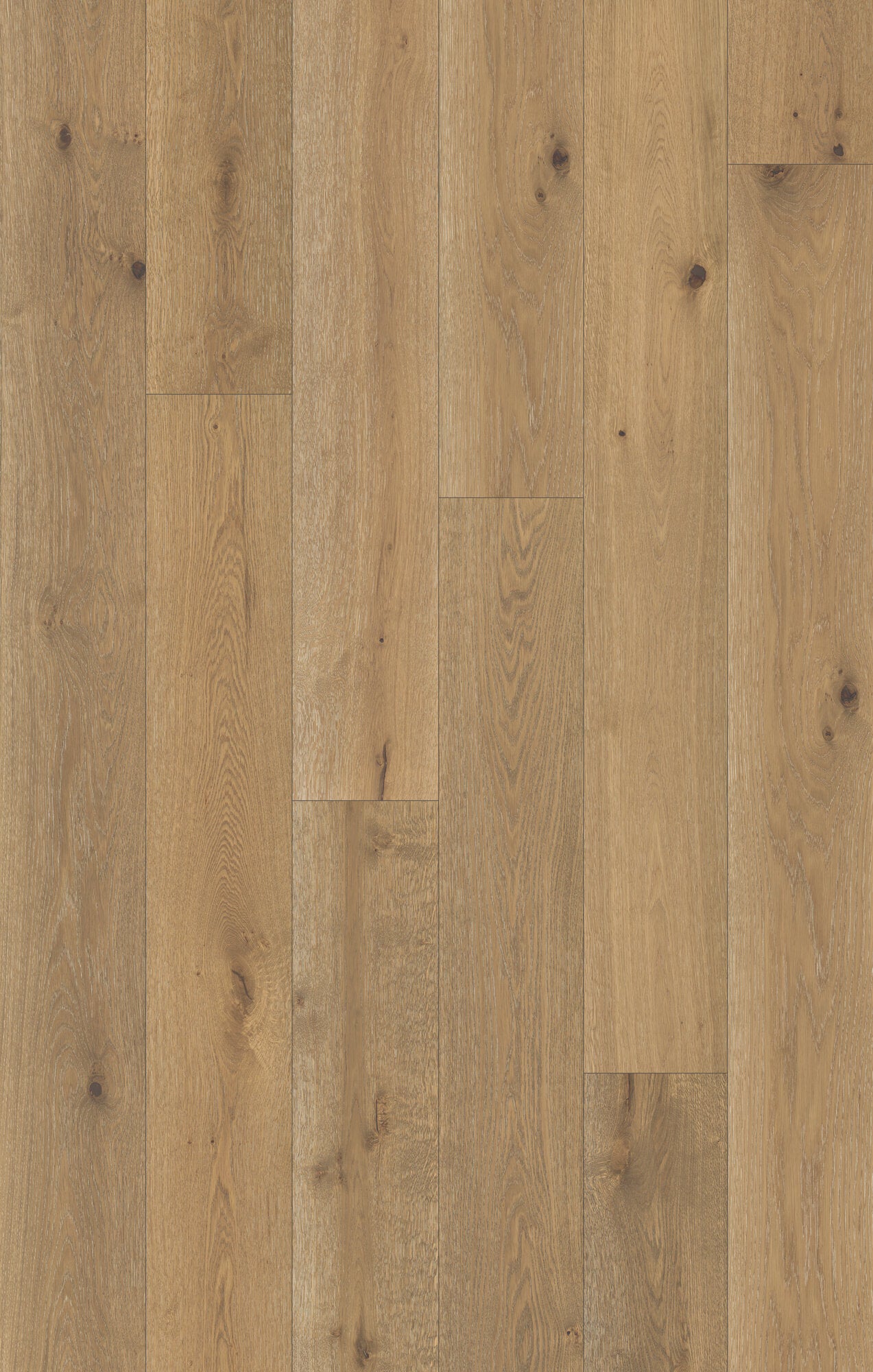 Nouveau Renaissance Modern Demask Engineered Hardwood Flooring, Fuzion swatch