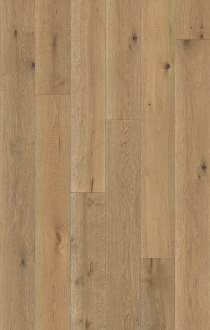 Nouveau Renaissance Modern Demask Engineered Hardwood Flooring, Fuzion swatch