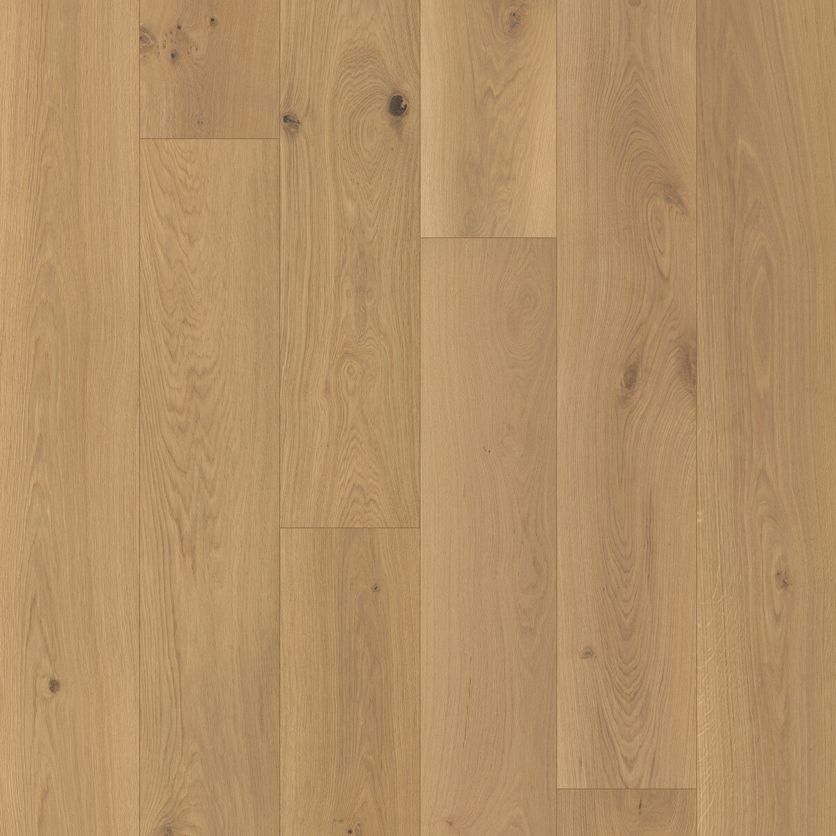 Nouveau Renaissance Playwright Engineered Hardwood Flooring, Fuzion square flooring swatch