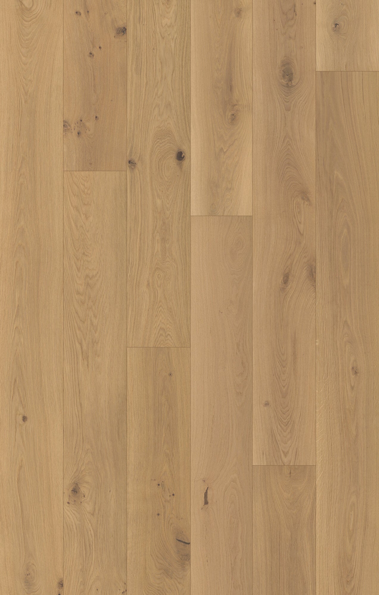 Nouveau Renaissance Playwright Engineered Hardwood Flooring, Fuzion swatch