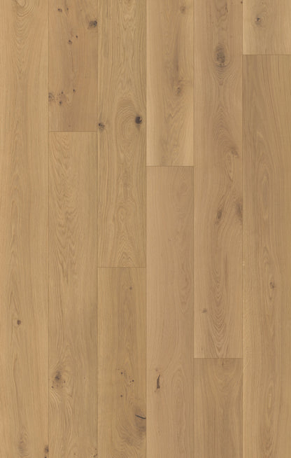 Nouveau Renaissance Playwright Engineered Hardwood Flooring, Fuzion swatch