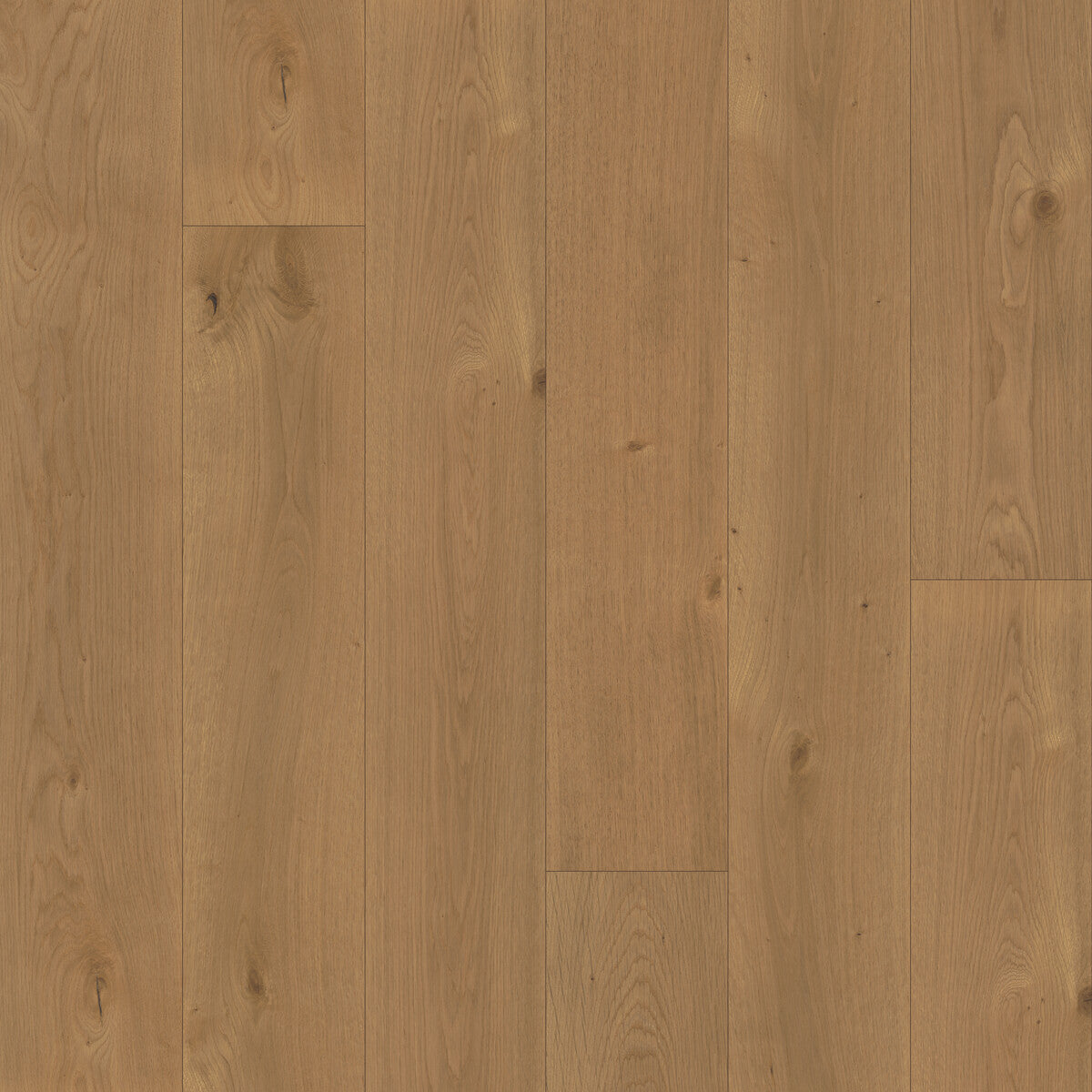 Nouveau Renaissance Tuscany Engineered Hardwood Flooring, Fuzion square flooring swatch