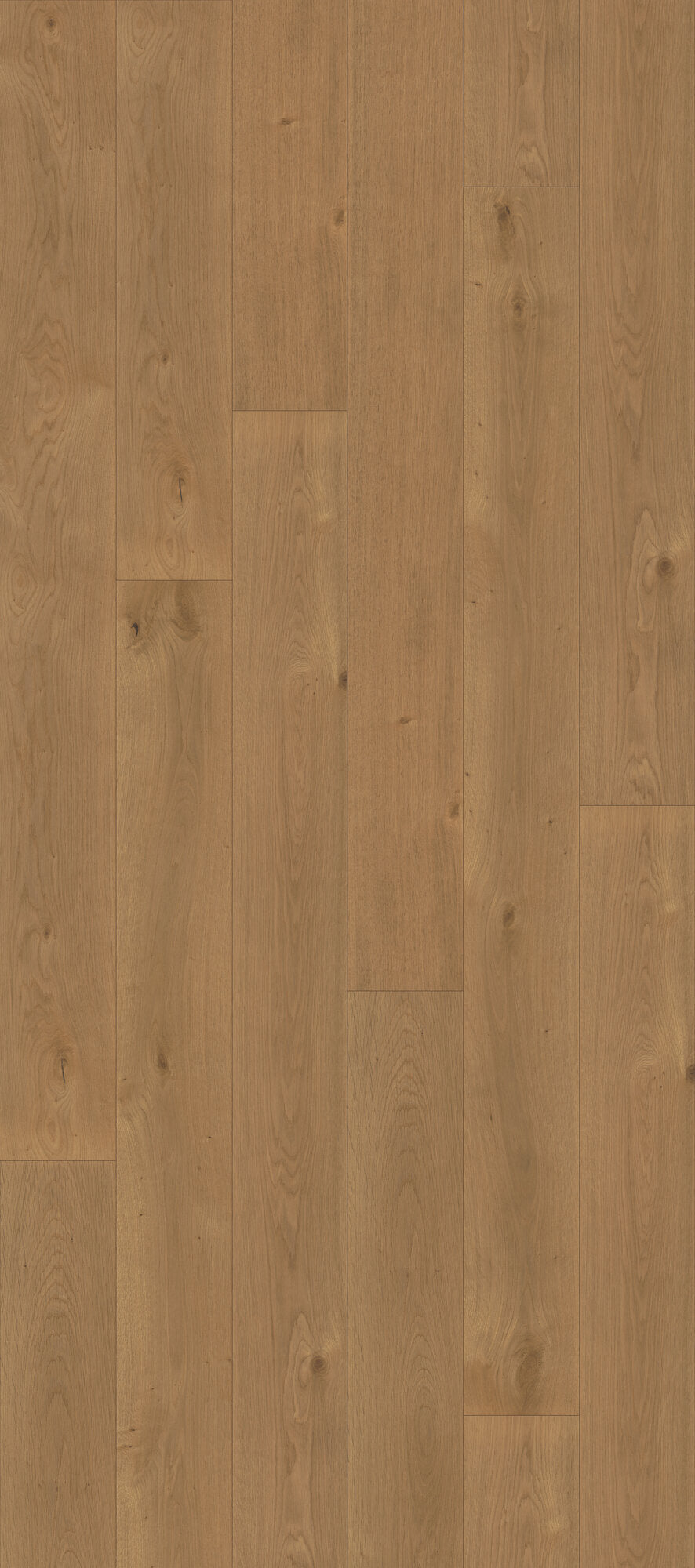 Nouveau Renaissance Tuscany Engineered Hardwood Flooring, Fuzion swatch