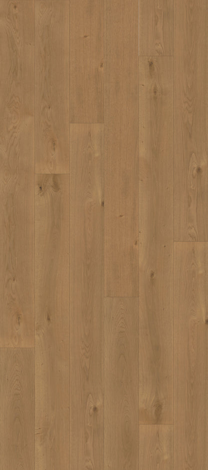 Nouveau Renaissance Tuscany Engineered Hardwood Flooring, Fuzion swatch