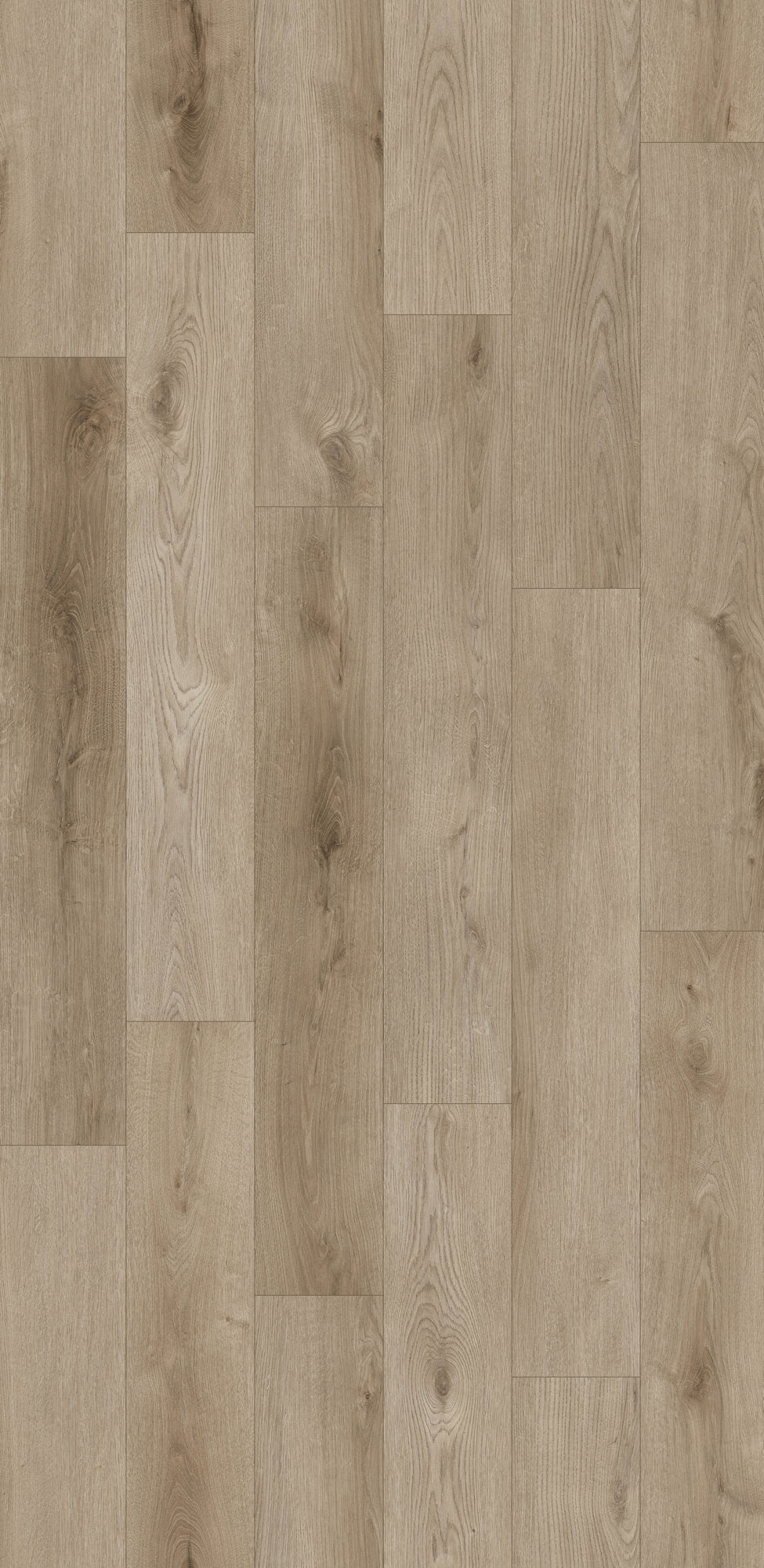Nxwood Grainspire Laminate Flooring, Fuzion swatch