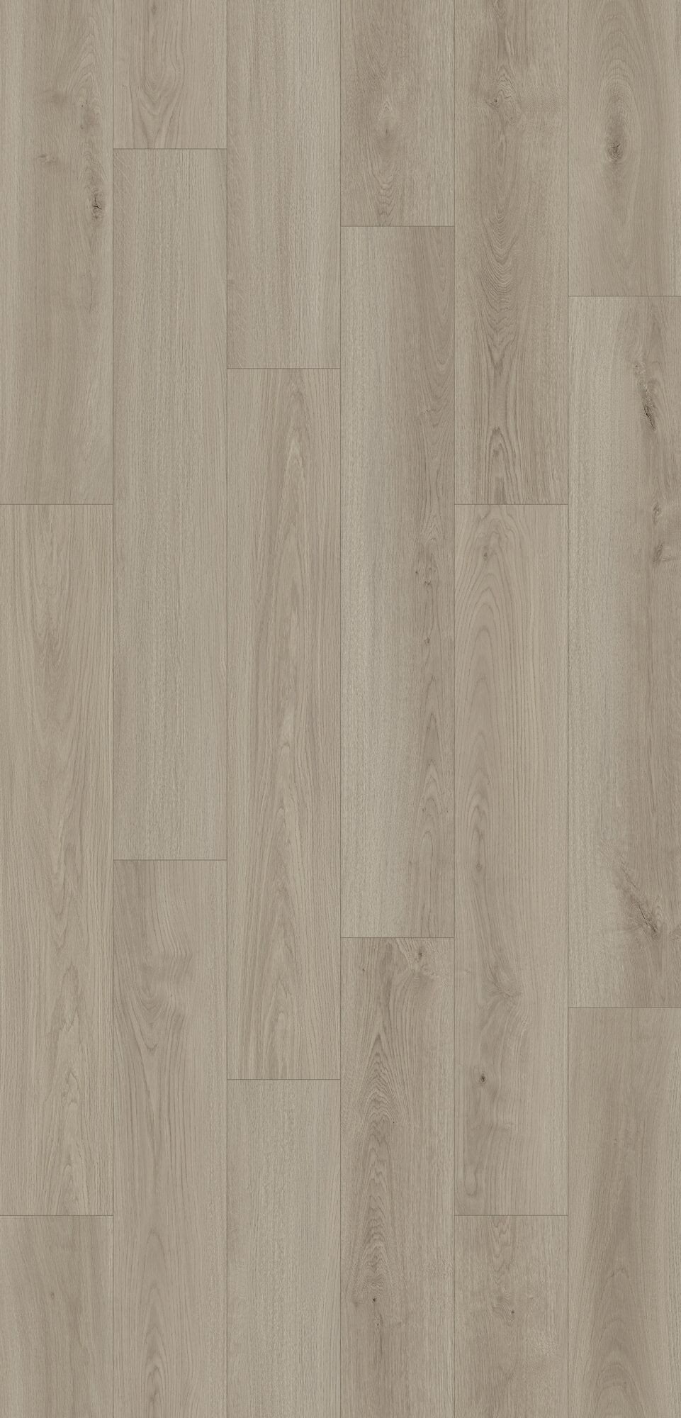 Nxwood Sagewyn Laminate Flooring, Fuzion swatch