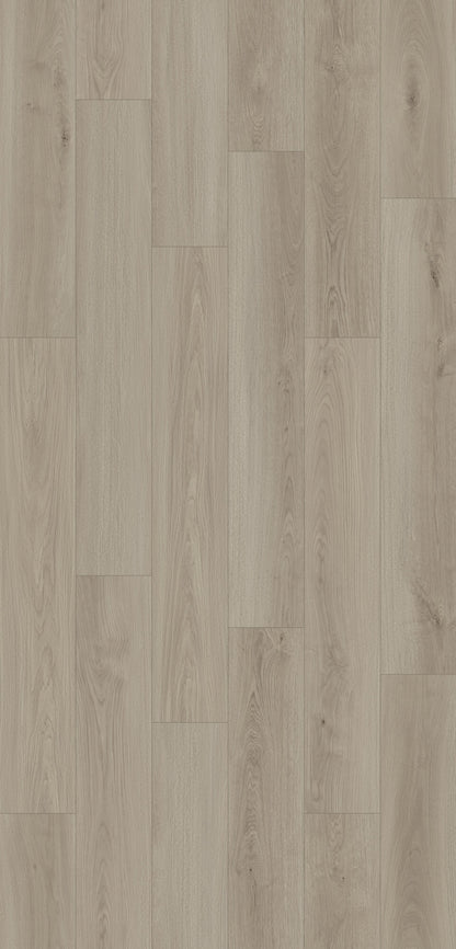 Nxwood Sagewyn Laminate Flooring, Fuzion swatch