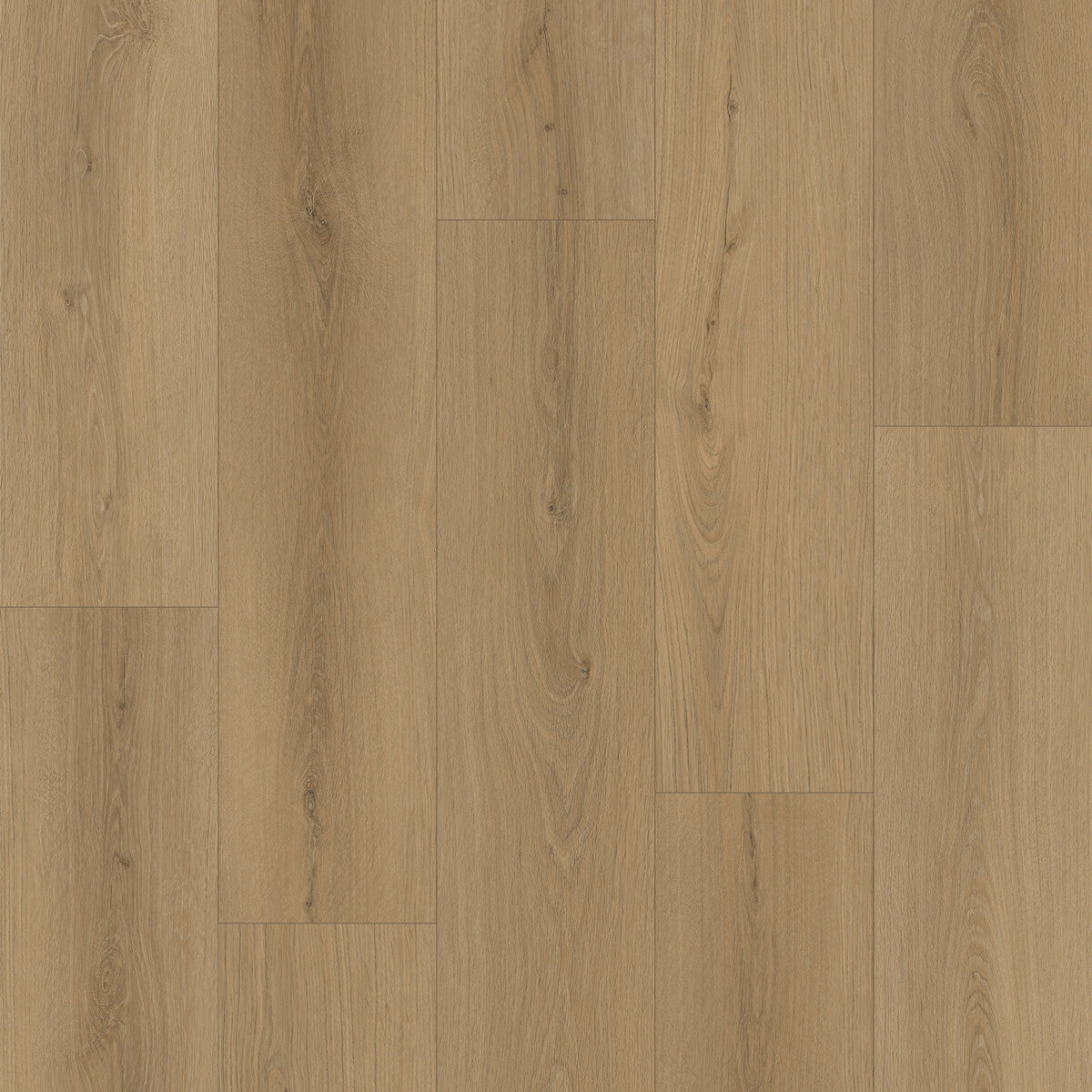Nxwood Pro Dawnwood Laminate Flooring, Fuzion square flooring swatch