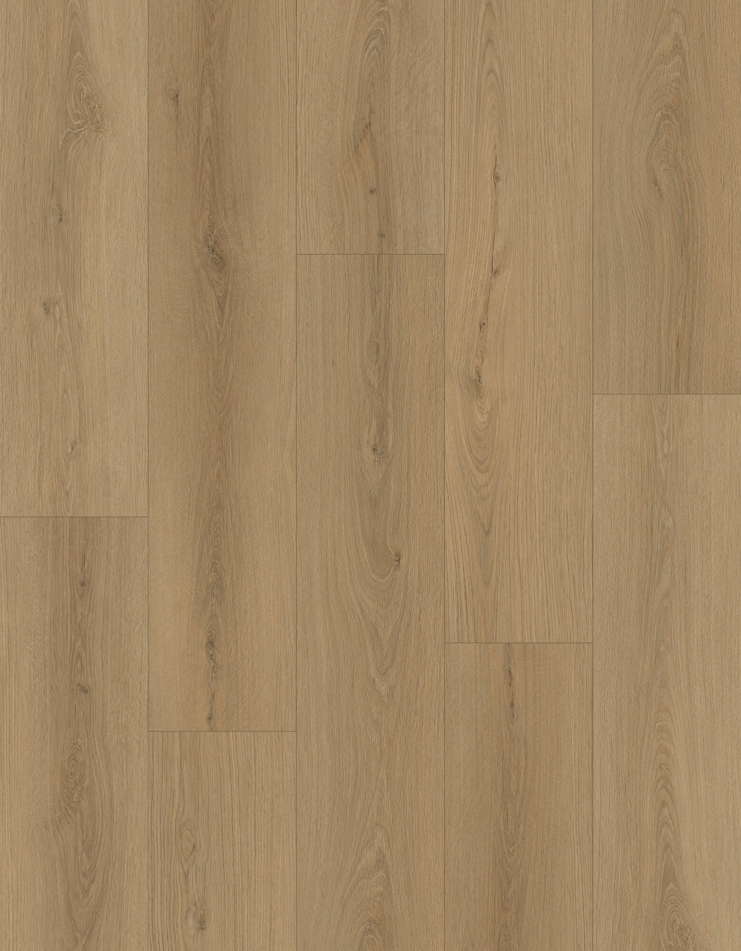 Nxwood Pro Dawnwood Laminate Flooring, Fuzion swatch