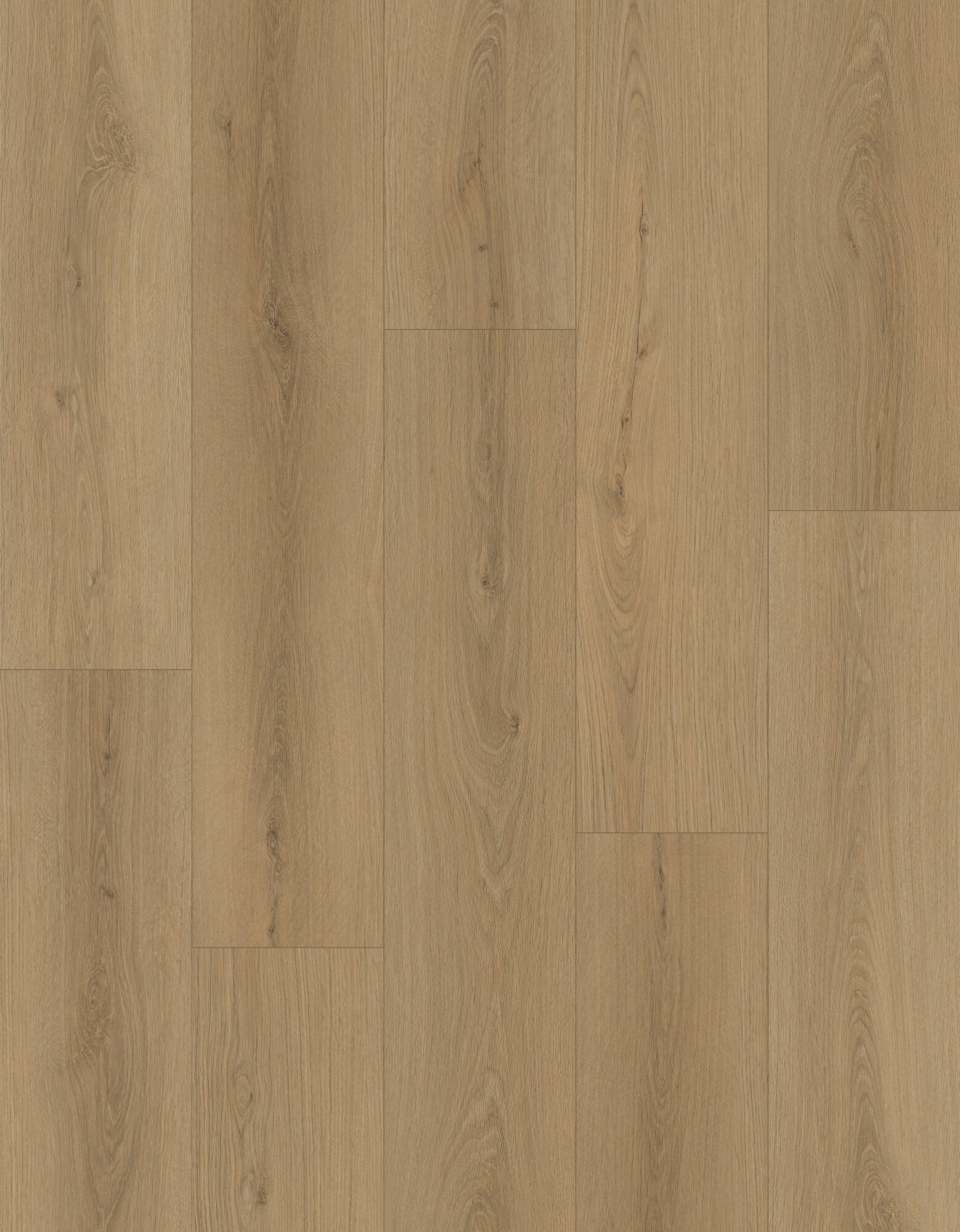 Nxwood Pro Dawnwood Laminate Flooring, Fuzion swatch