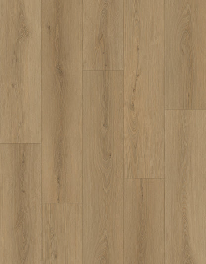 Nxwood Pro Dawnwood Laminate Flooring, Fuzion swatch