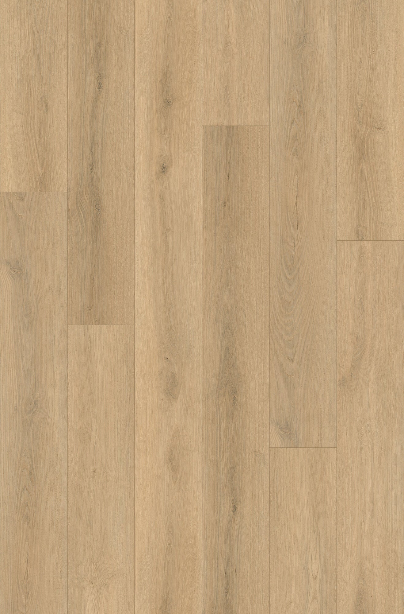 Nxwood Pro Oasis Grain Laminate Flooring, Fuzion swatch