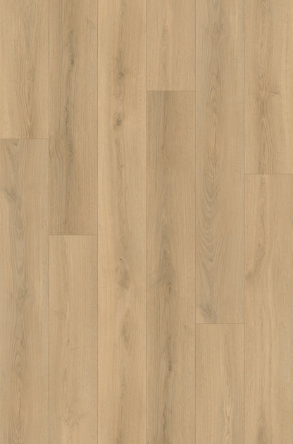 Nxwood Pro Oasis Grain Laminate Flooring, Fuzion swatch