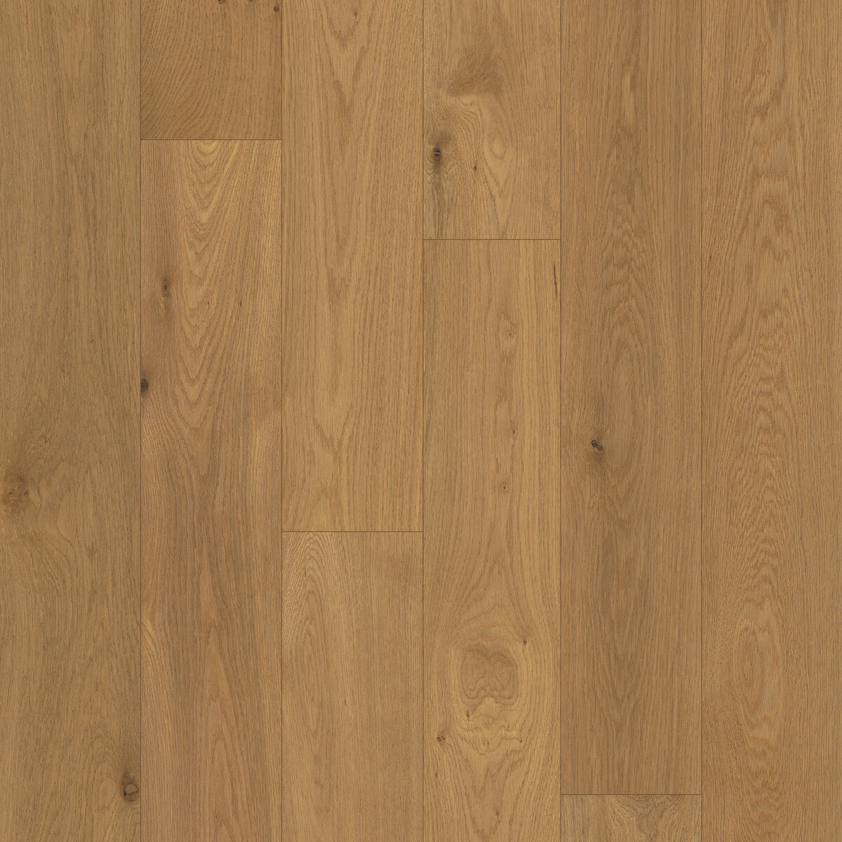 Outer Banks Elite Breakwater Bronze Engineered Hardwood Flooring, Fuzion square flooring swatch