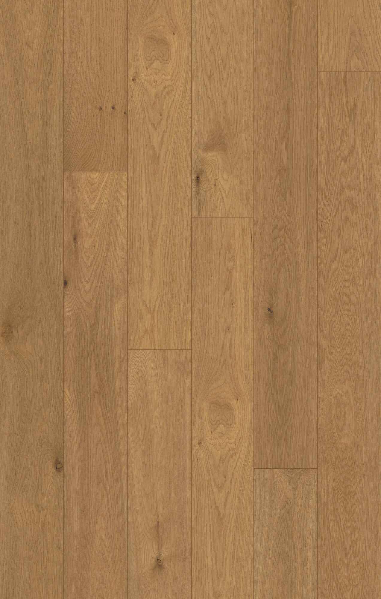 Outer Banks Elite Breakwater Bronze Engineered Hardwood Flooring, Fuzion swatch